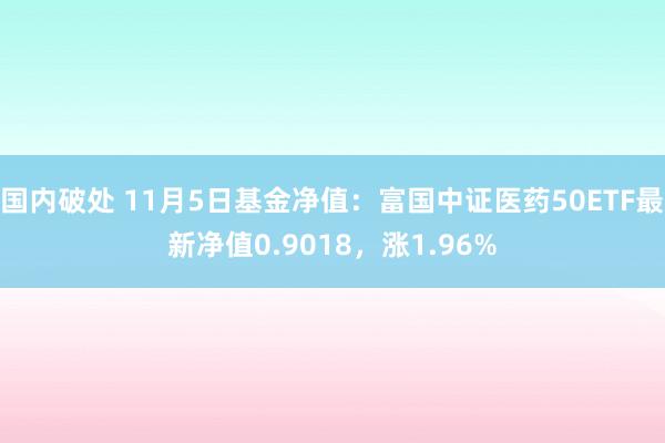 国内破处 11月5日基金净值：富国中证医药50ETF最新净值0.9018，涨1.96%