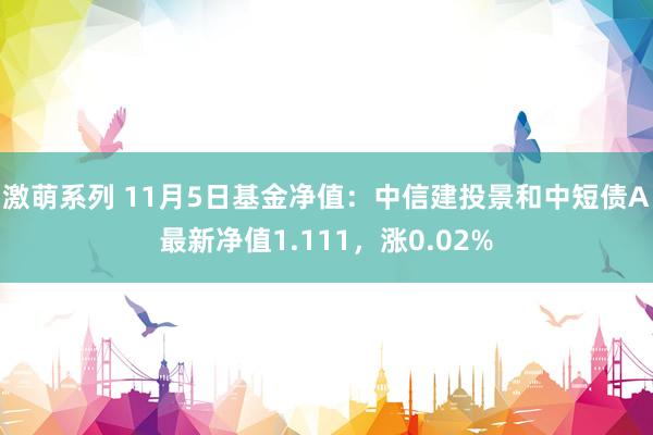 激萌系列 11月5日基金净值：中信建投景和中短债A最新净值1.111，涨0.02%