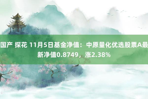 国产 探花 11月5日基金净值：中原量化优选股票A最新净值0.8749，涨2.38%