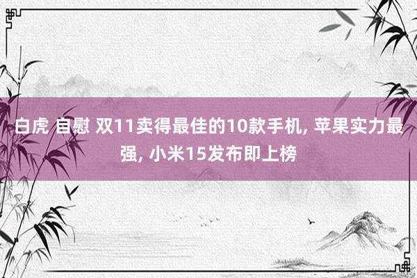 白虎 自慰 双11卖得最佳的10款手机， 苹果实力最强， 小米15发布即上榜