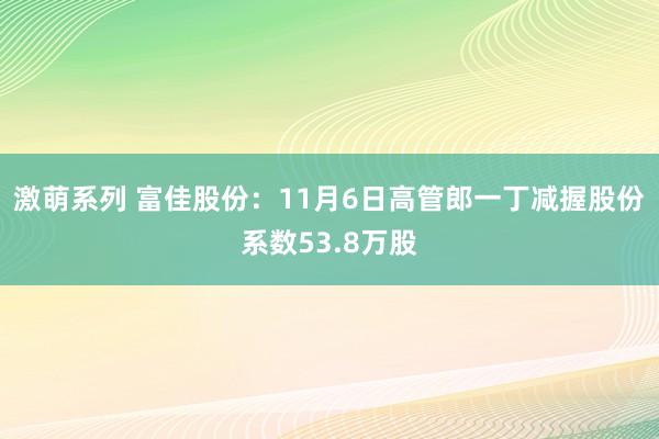 激萌系列 富佳股份：11月6日高管郎一丁减握股份系数53.8万股