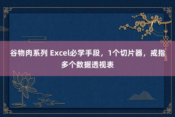 谷物肉系列 Excel必学手段，1个切片器，戒指多个数据透视表