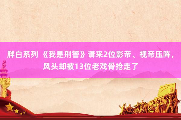 胖白系列 《我是刑警》请来2位影帝、视帝压阵，风头却被13位老戏骨抢走了