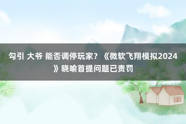 勾引 大爷 能否调停玩家？《微软飞翔模拟2024》晓喻首提问题已责罚