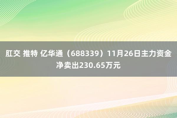 肛交 推特 亿华通（688339）11月26日主力资金净卖出230.65万元