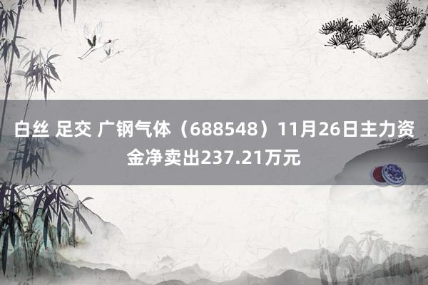 白丝 足交 广钢气体（688548）11月26日主力资金净卖出237.21万元