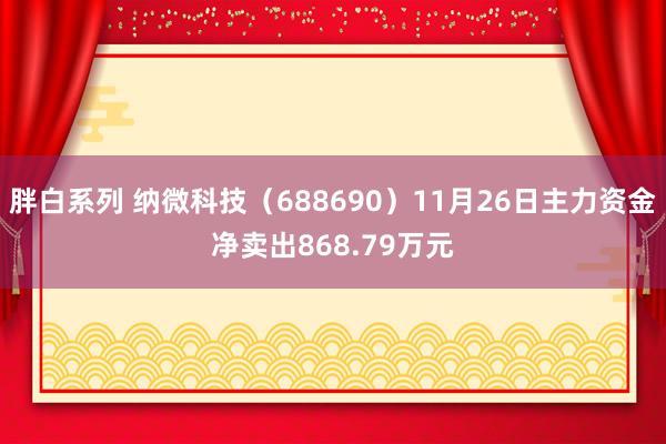 胖白系列 纳微科技（688690）11月26日主力资金净卖出868.79万元