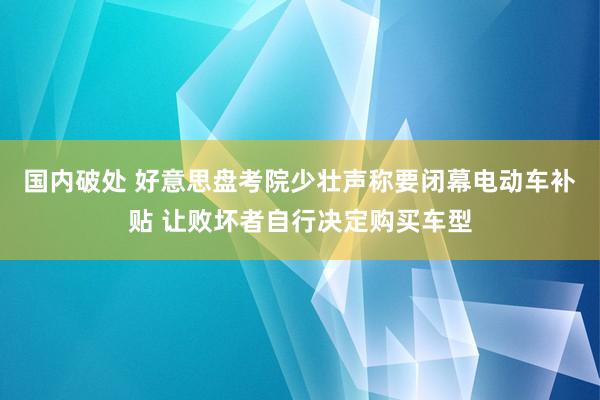 国内破处 好意思盘考院少壮声称要闭幕电动车补贴 让败坏者自行决定购买车型