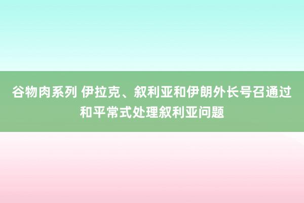 谷物肉系列 伊拉克、叙利亚和伊朗外长号召通过和平常式处理叙利亚问题