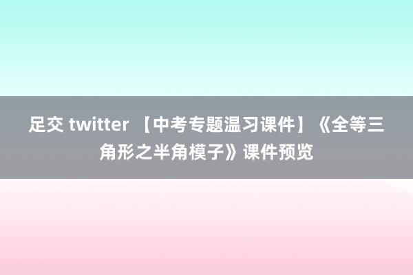 足交 twitter 【中考专题温习课件】《全等三角形之半角模子》课件预览