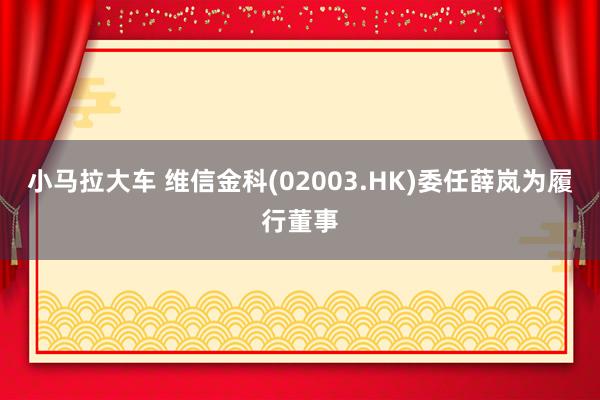 小马拉大车 维信金科(02003.HK)委任薛岚为履行董事