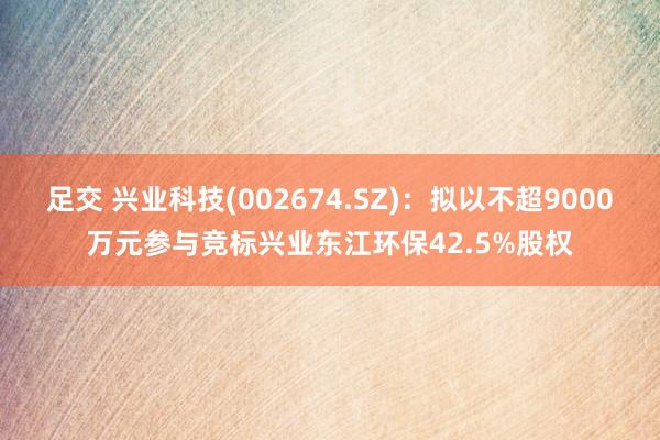 足交 兴业科技(002674.SZ)：拟以不超9000万元参与竞标兴业东江环保42.5%股权