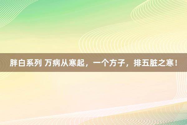 胖白系列 万病从寒起，一个方子，排五脏之寒！