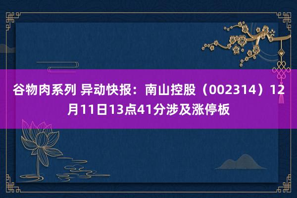 谷物肉系列 异动快报：南山控股（002314）12月11日13点41分涉及涨停板