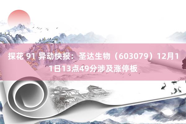 探花 91 异动快报：圣达生物（603079）12月11日13点49分涉及涨停板