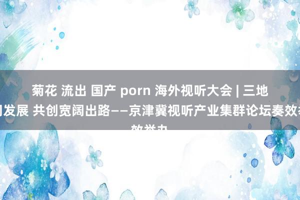 菊花 流出 国产 porn 海外视听大会 | 三地协同发展 共创宽阔出路——京津冀视听产业集群论坛奏效举办