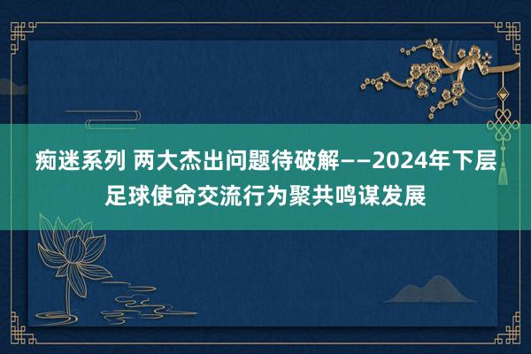 痴迷系列 两大杰出问题待破解——2024年下层足球使命交流行为聚共鸣谋发展