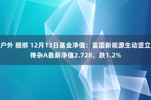 户外 捆绑 12月13日基金净值：富国新能源生动竖立搀杂A最新净值2.728，跌1.2%