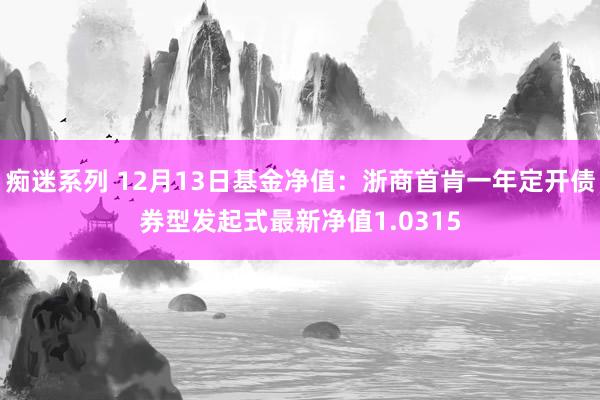 痴迷系列 12月13日基金净值：浙商首肯一年定开债券型发起式最新净值1.0315