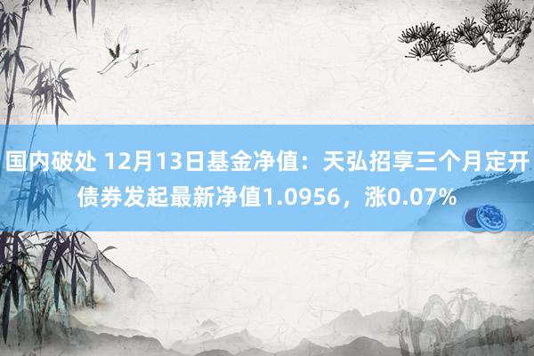 国内破处 12月13日基金净值：天弘招享三个月定开债券发起最新净值1.0956，涨0.07%