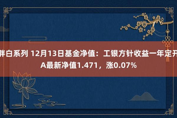 胖白系列 12月13日基金净值：工银方针收益一年定开A最新净值1.471，涨0.07%