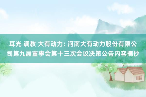 耳光 调教 大有动力: 河南大有动力股份有限公司第九届董事会第十三次会议决策公告内容摘抄