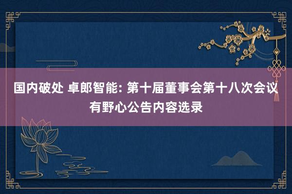 国内破处 卓郎智能: 第十届董事会第十八次会议有野心公告内容选录