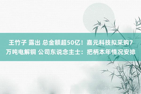 王竹子 露出 总金额超50亿！嘉元科技拟采购7万吨电解铜 公司东说念主士：把柄本年情况安排