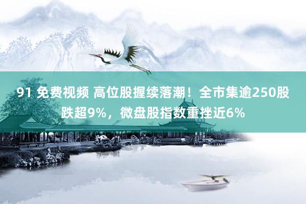 91 免费视频 高位股握续落潮！全市集逾250股跌超9%，微盘股指数重挫近6%