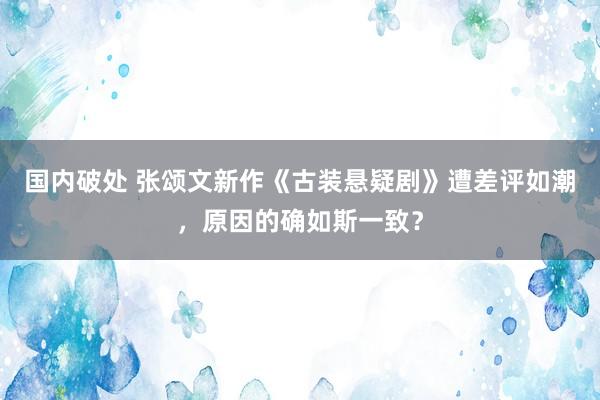 国内破处 张颂文新作《古装悬疑剧》遭差评如潮，原因的确如斯一致？