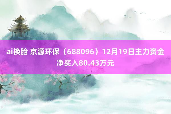 ai换脸 京源环保（688096）12月19日主力资金净买入80.43万元