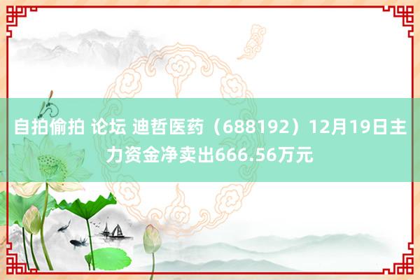 自拍偷拍 论坛 迪哲医药（688192）12月19日主力资金净卖出666.56万元