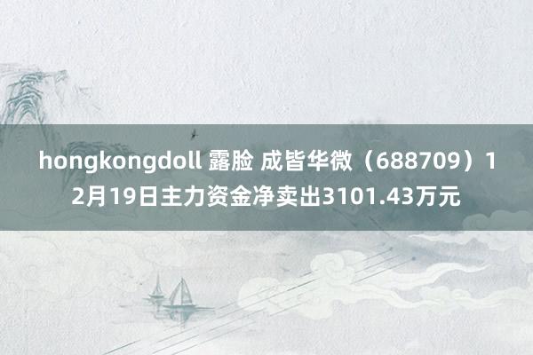 hongkongdoll 露脸 成皆华微（688709）12月19日主力资金净卖出3101.43万元