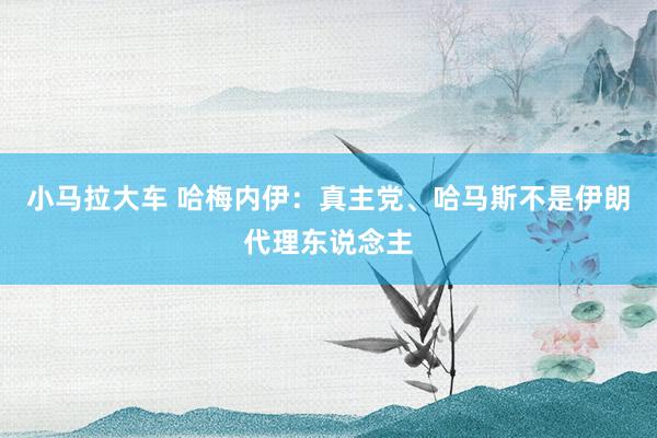 小马拉大车 哈梅内伊：真主党、哈马斯不是伊朗代理东说念主