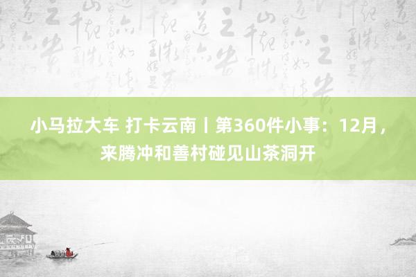 小马拉大车 打卡云南丨第360件小事：12月，来腾冲和善村碰见山茶洞开