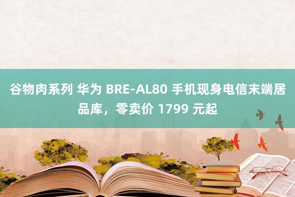 谷物肉系列 华为 BRE-AL80 手机现身电信末端居品库，零卖价 1799 元起