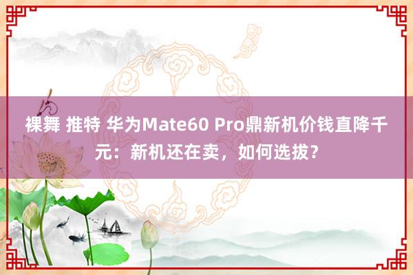 裸舞 推特 华为Mate60 Pro鼎新机价钱直降千元：新机还在卖，如何选拔？