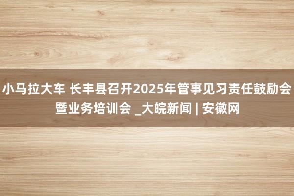 小马拉大车 长丰县召开2025年管事见习责任鼓励会暨业务培训会 _大皖新闻 | 安徽网