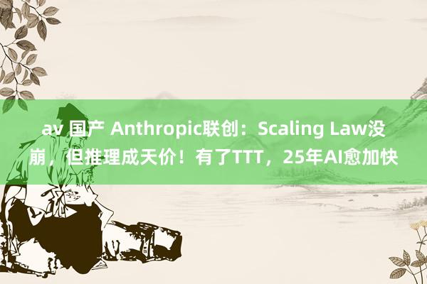 av 国产 Anthropic联创：Scaling Law没崩，但推理成天价！有了TTT，25年AI愈加快