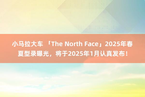 小马拉大车 「The North Face」2025年春夏型录曝光，将于2025年1月认真发布！