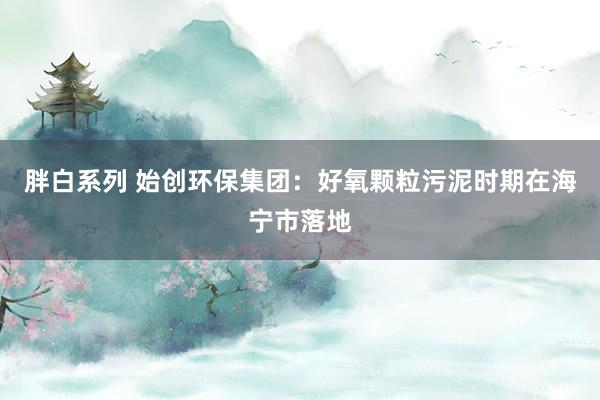 胖白系列 始创环保集团：好氧颗粒污泥时期在海宁市落地