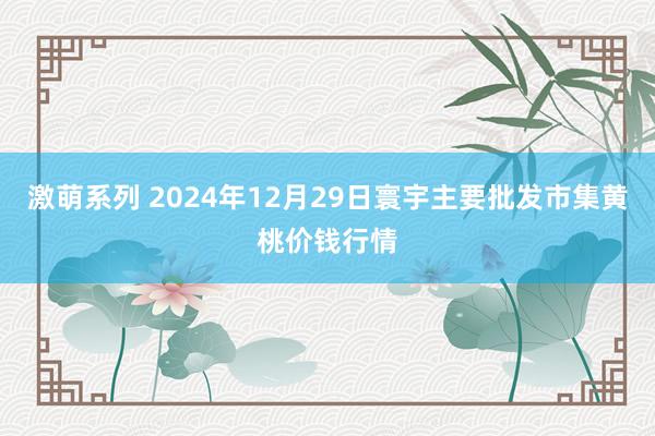 激萌系列 2024年12月29日寰宇主要批发市集黄桃价钱行情