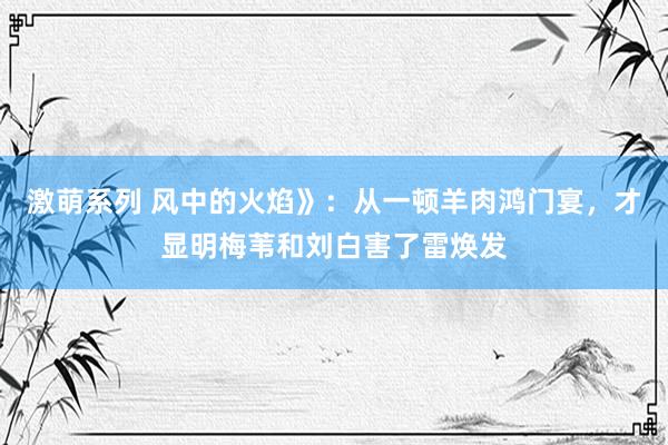 激萌系列 风中的火焰》：从一顿羊肉鸿门宴，才显明梅苇和刘白害了雷焕发