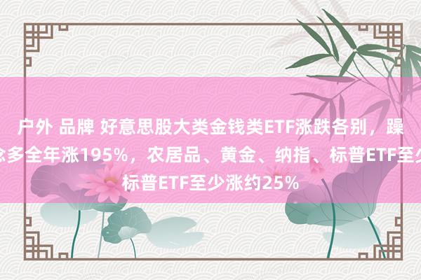 户外 品牌 好意思股大类金钱类ETF涨跌各别，躁急指数作念多全年涨195%，农居品、黄金、纳指、标普ETF至少涨约25%