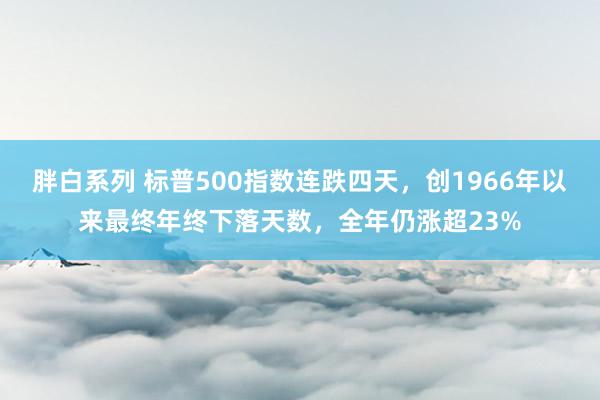 胖白系列 标普500指数连跌四天，创1966年以来最终年终下落天数，全年仍涨超23%