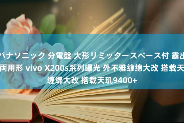 パナソニック 分電盤 大形リミッタースペース付 露出・半埋込両用形 vivo X200s系列曝光 外不雅缠绵大改 搭载天玑9400+