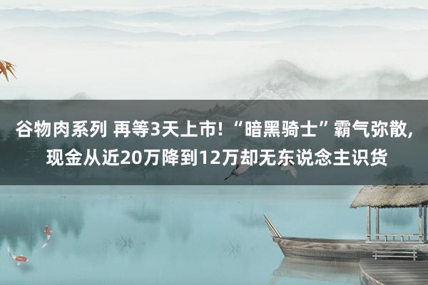 谷物肉系列 再等3天上市! “暗黑骑士”霸气弥散， 现金从近20万降到12万却无东说念主识货