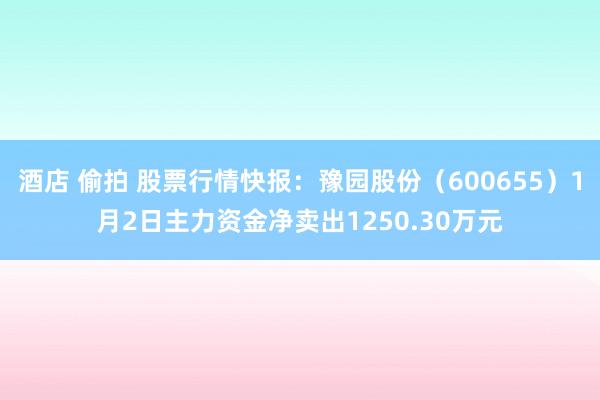 酒店 偷拍 股票行情快报：豫园股份（600655）1月2日主力资金净卖出1250.30万元