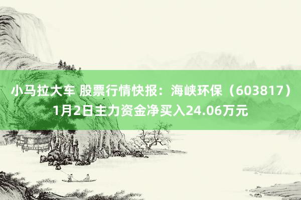 小马拉大车 股票行情快报：海峡环保（603817）1月2日主力资金净买入24.06万元