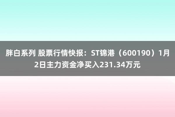 胖白系列 股票行情快报：ST锦港（600190）1月2日主力资金净买入231.34万元